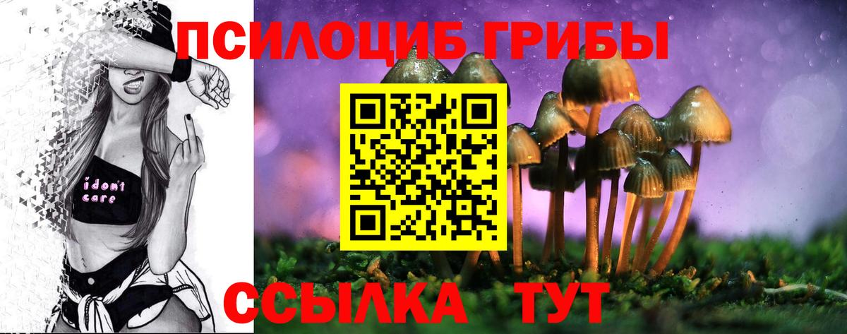 Скопин  Галлюциногенные грибы мухоморы  Вход с VPN 